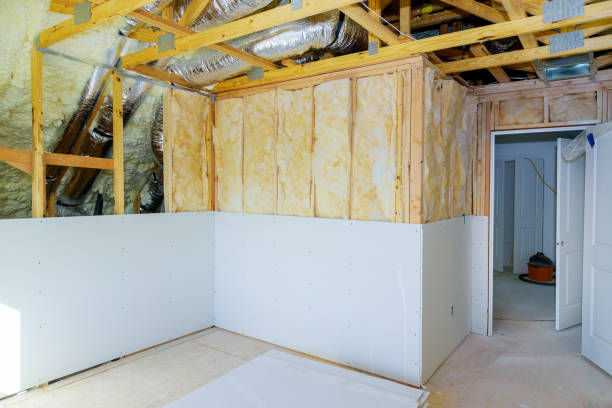 Best Insulation Maintenance and Repair in Boutte, LA