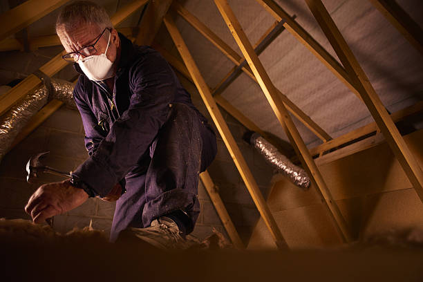 Best DIY Insulation Kits and Guidance in Boutte, LA