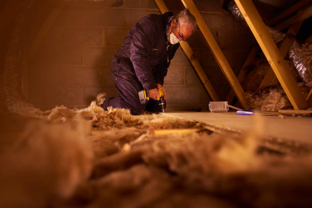 Best Cellulose Insulation in Boutte, LA